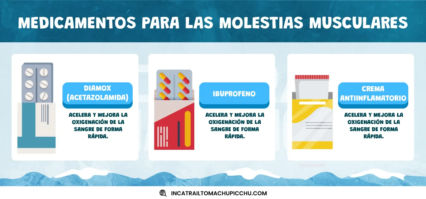 infografía sobre los medicamentos para camino inca y el dolor muscular, y para qué sirve cada uno.