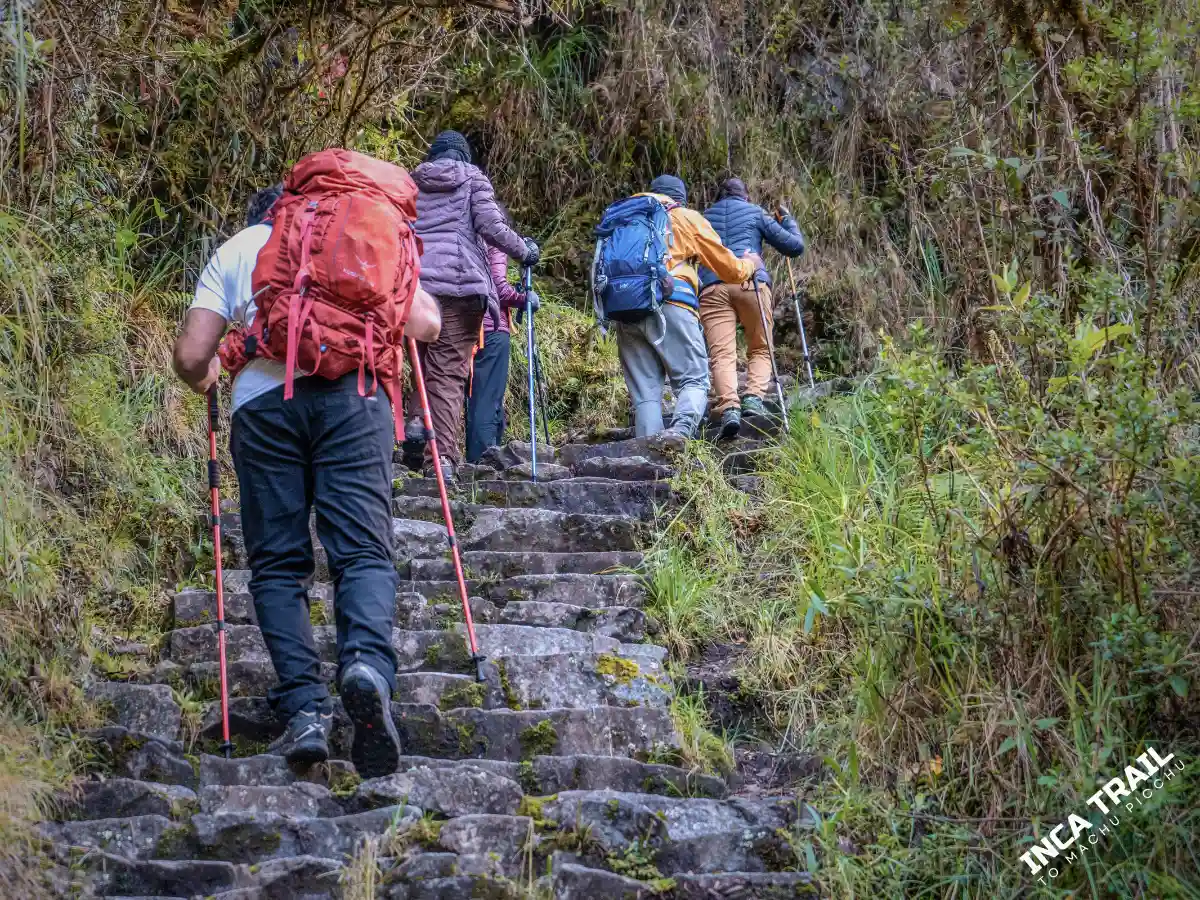 Tourists on the short Inca Trail route.│Turistas en la ruta del camino inca corto