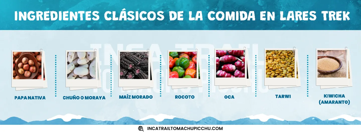 ingredientes básicos de la comida en lares trek y la gastronomía andina.
